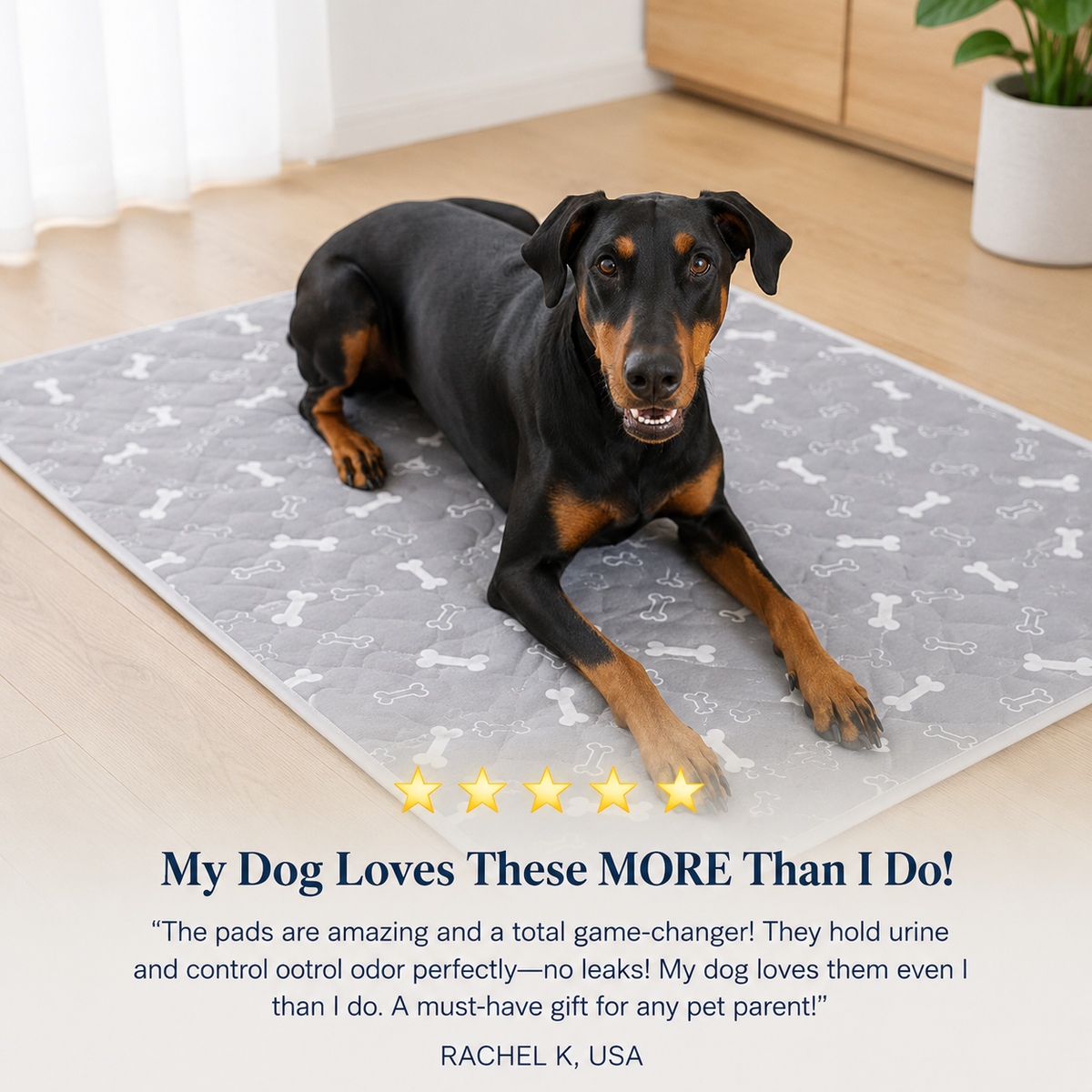 MyPetoo Pup Pad